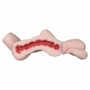 Mau – Elsababe Silicone Torso Masturbator