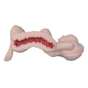 Villain Temptation – Elsababe Silicone Torso Masturbator