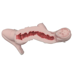 Purple Devil – Elsababe Silicone Torso Masturbator