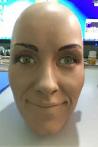 Bald doll head with green eyes and a neutral expression, set against a blurred background.