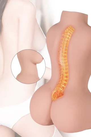 Xiao Mei 5.38lbs half body torso masturbator featuring a realistic spine detail and smooth skin texture.